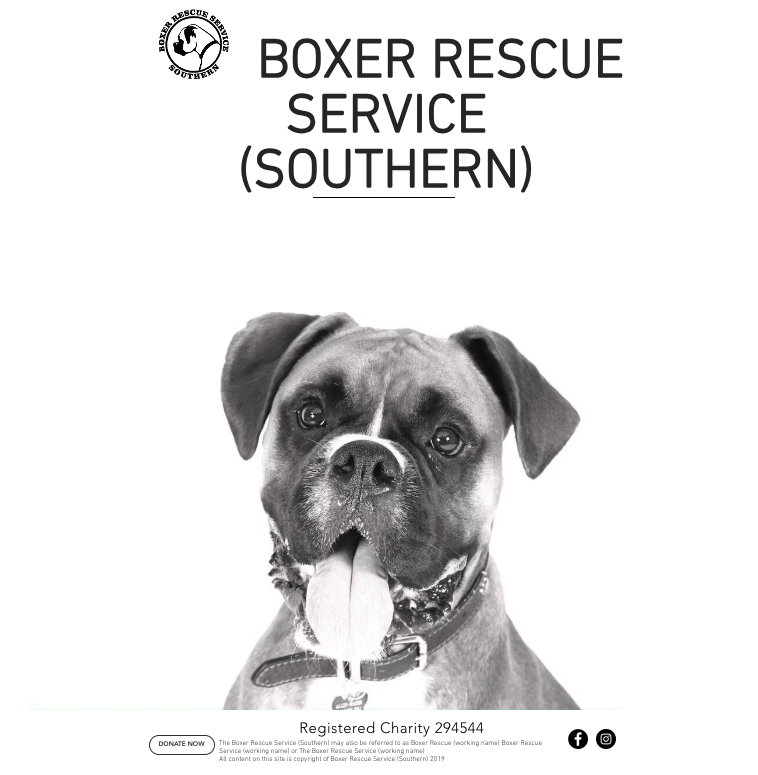 Boxer Rescue Southern Charity