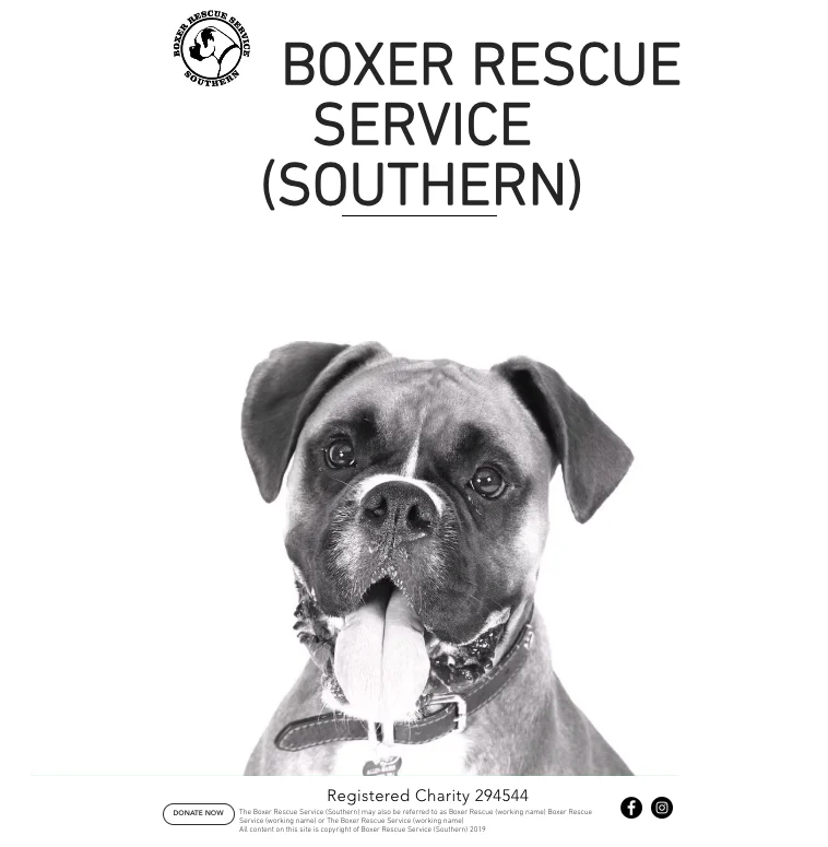 Boxer Rescue Southern Charity