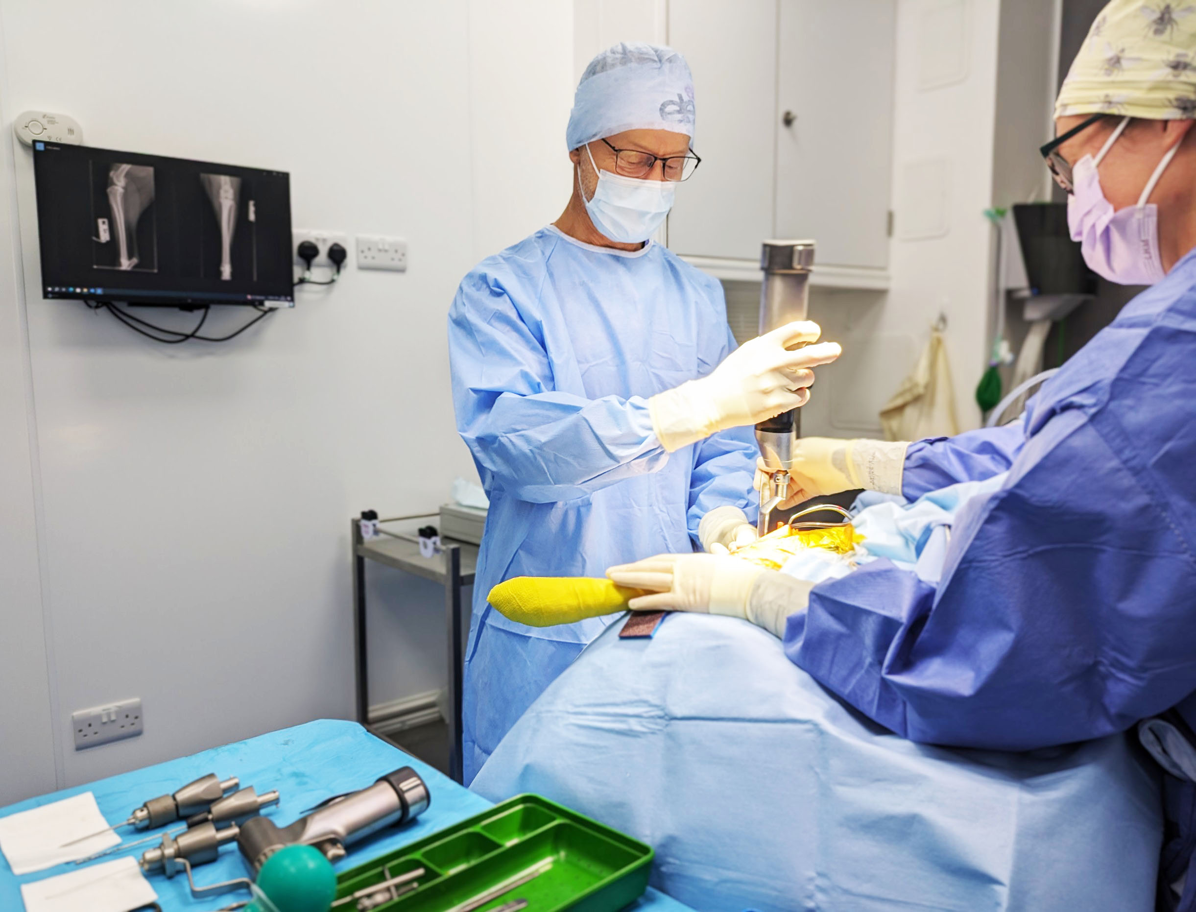 Surgery 2025 1 Surgery in action at Coast Vets